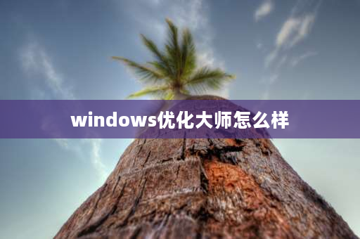 windows优化**怎么样 windows优化**是什么，好用吗？