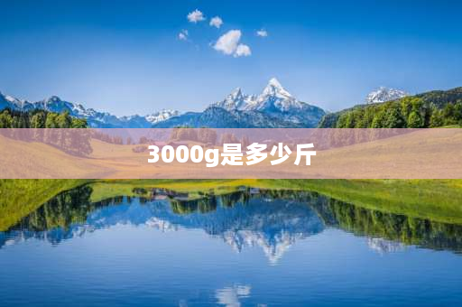 3000g是多少斤 2500g是多少斤？5000g是多少斤？