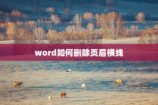 word如何删除页眉横线 去掉word页眉横线的方法？