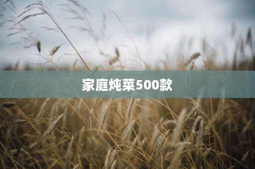 家庭炖菜500款 炖菜有哪些怎么炖？