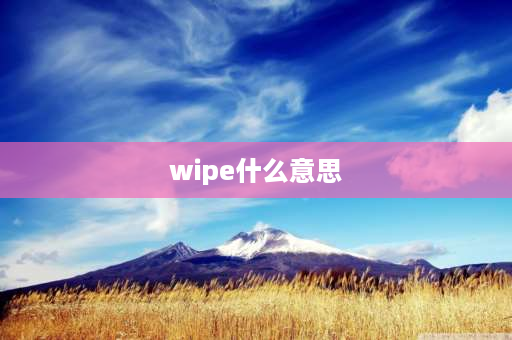 wipe什么意思 recovery模式里的wipe是什么意思？