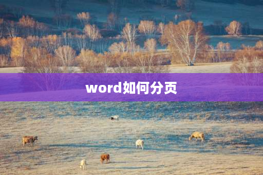 word如何分页 word段落的换行和分页怎么用？