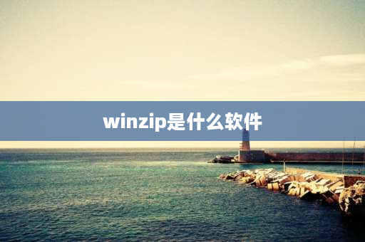 winzip是什么软件 winzip是什么啊？