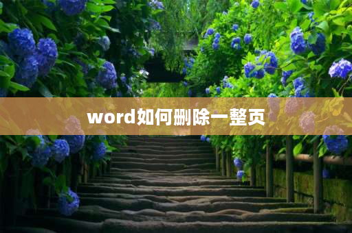 word如何删除一整页 文件怎么删除整页？