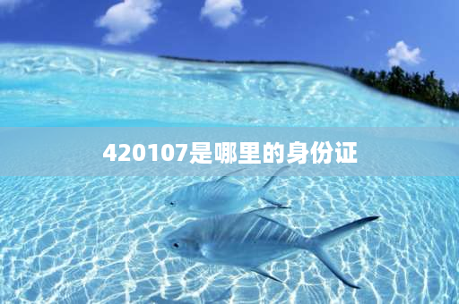 420107是哪里的身份证 420112是武汉哪个区？