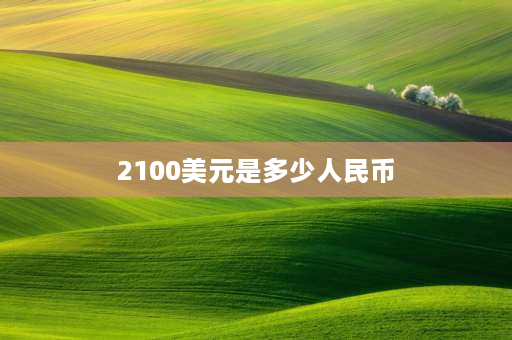 2100美元是多少人民币 2020年美元最大面值？