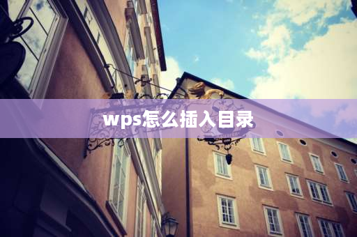 wps怎么插入目录 wps怎么把任意文字设置成目录？