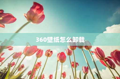 360壁纸怎么卸载 奶油壁纸怎么卸载？