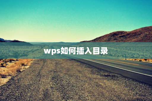 wps如何插入目录 wps怎么一键生成目录并有页码？