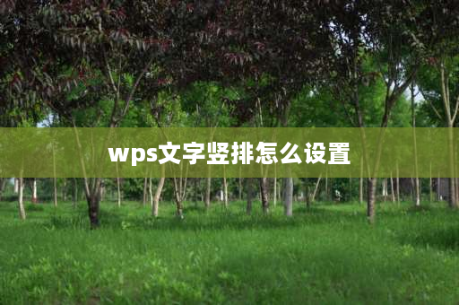 wps文字竖排怎么设置 wps字体竖着怎么设置？