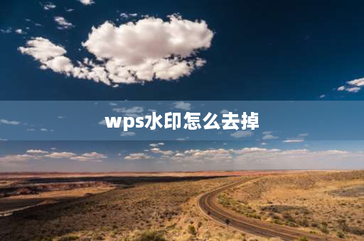 wps水印怎么去掉 wpsexcel水印怎么去掉？