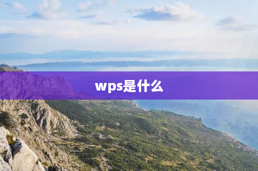 wps是什么 WPS是什么？