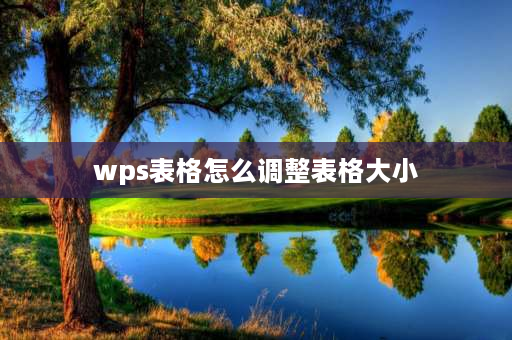 wps表格怎么调整表格大小 wps表格怎么把区域弄大？