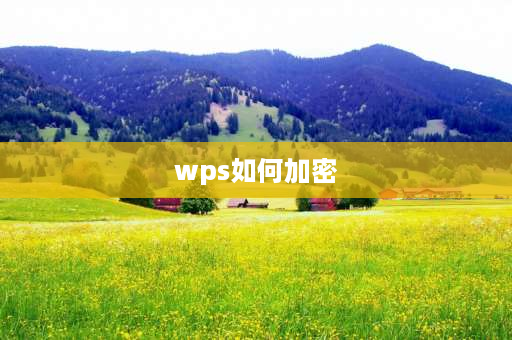 wps如何加密 wps如何加密？