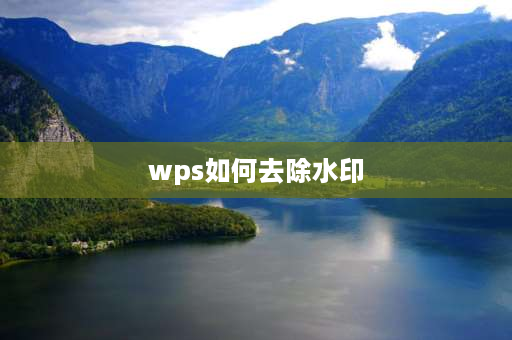 wps如何去除水印 wps表格里面的水印怎么去掉？