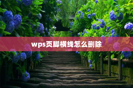 wps页脚横线怎么删除 wps中的文字下的横线怎么去掉？