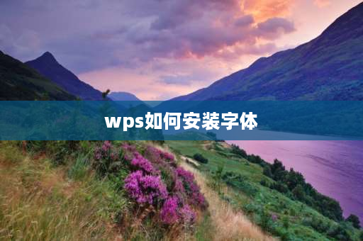 wps如何安装字体 wps怎么添加字体？