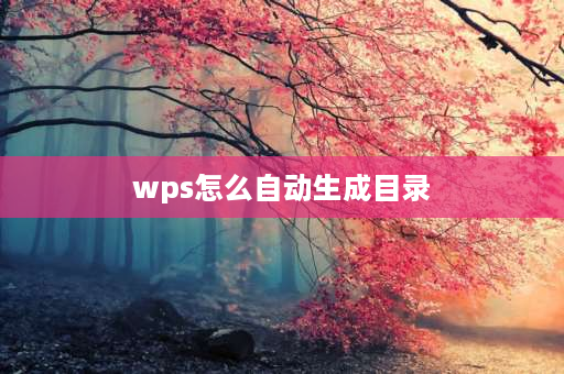 wps怎么自动生成目录 WPS文档怎么自动生成目录？