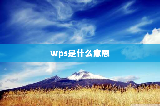 wps是什么意思 WPS指的是什么？