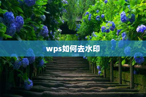 wps如何去水印 如何删除wps文档中的水印 第1张没有水印以后有水印怎么删除？