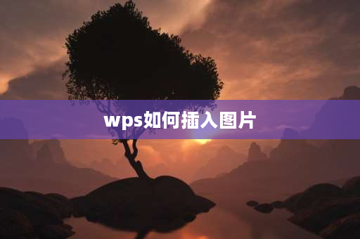 wps如何插入图片 wps插入不了图片怎么解决？