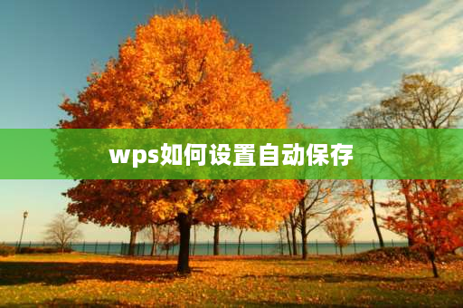 wps如何设置自动保存 wps怎样设置自动保存？