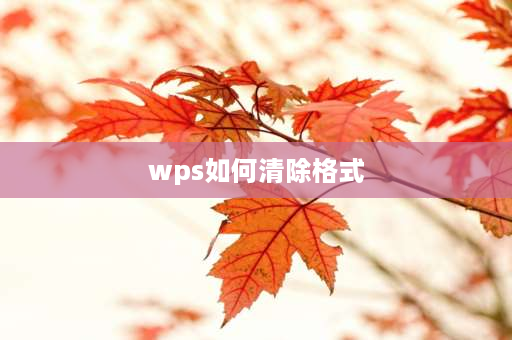 wps如何清除格式 WPS如何去除Excel表格文本形式？