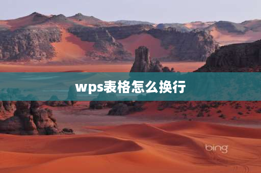 wps表格怎么换行 Wps表格内如何快速文字换行？