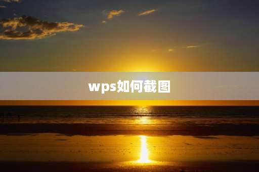 wps如何截图 wps截图筛选怎么就没了？