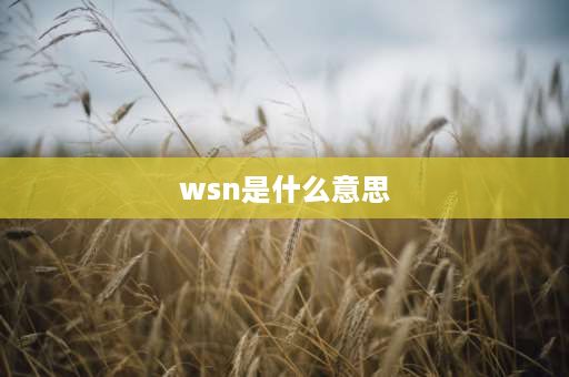 wsn是什么意思 风机PF和RF什么意思？