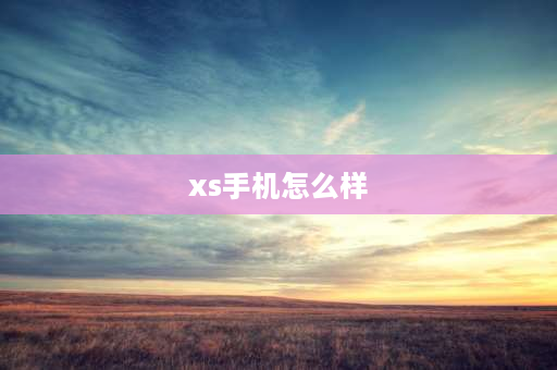 xs手机怎么样 苹果xs有必要换原装电池吗？