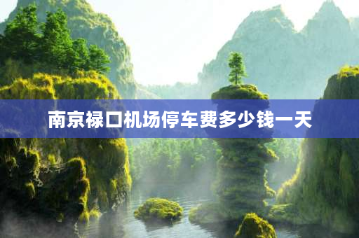 南京禄口机场停车费多少钱一天 南京禄口机场附近哪里有便宜的停车场？