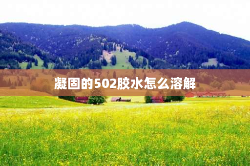 凝固的502胶水怎么溶解 502胶水凝固在瓶子里怎么溶解？