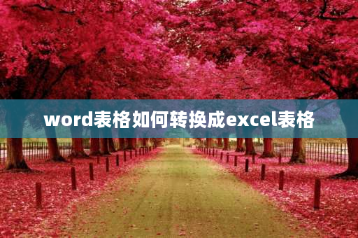 word表格如何转换成excel表格 怎样把word表格表格转换成excel？