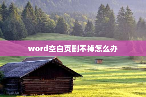 word空白页删不掉怎么办 word中空白页删不掉怎么办？