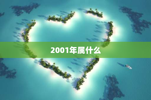 2001年属什么 01年有属龙的吗？