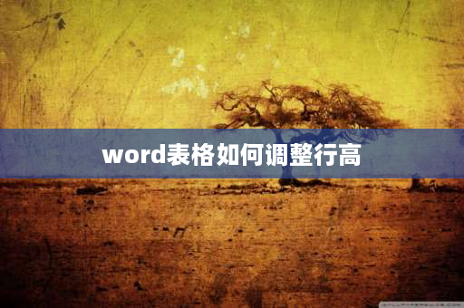 word表格如何调整行高 Word表格行高和列宽如何调整？