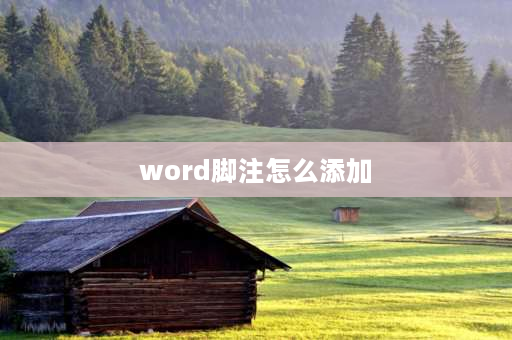 word脚注怎么添加 word里面插入脚注是怎么搞的？