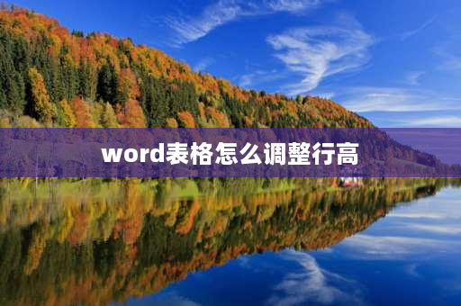 word表格怎么调整行高 word文档怎么让每一行高度一样？