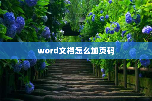 word文档怎么加页码 Word文档怎么加页码？