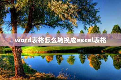 word表格怎么转换成excel表格 怎样把word表格表格转换成excel？