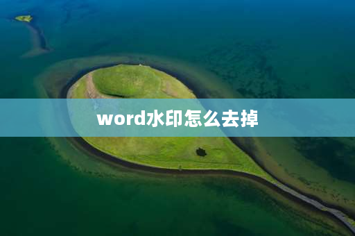 word水印怎么去掉 文档怎么去除**过来的水印？