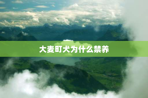 大麦町犬为什么禁养 中国禁养犬名单2021？