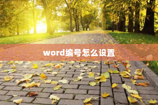 word编号怎么设置 word编号怎么弄？