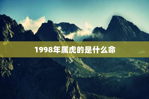 1998年属虎的是什么命 1998年是属虎吗？