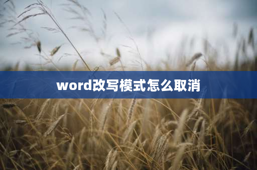 word改写模式怎么取消 word按哪个键取消改写？