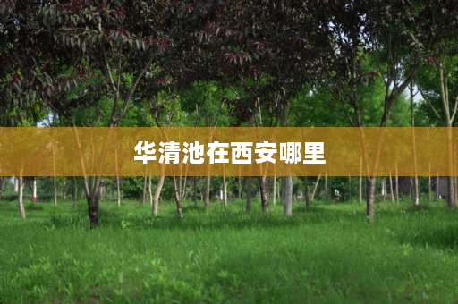 华清池在西安哪里 西安骊山和华清池在华清宫里面吗？