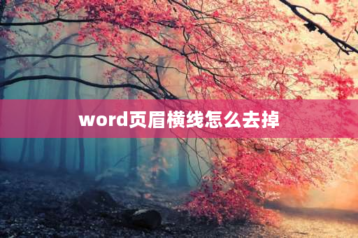 word页眉横线怎么去掉 word一条条横线怎么取消？