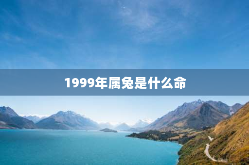 1999年属兔是什么命 1999年属什么年份？