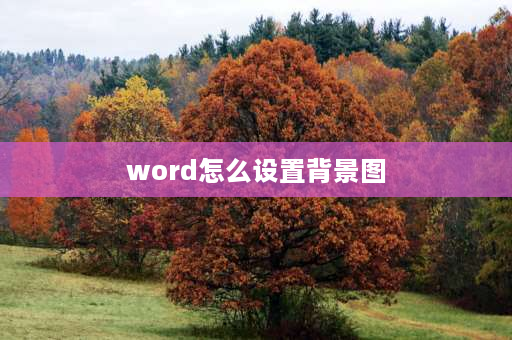 word怎么设置背景图 word怎么把图片显示在背景图上面？